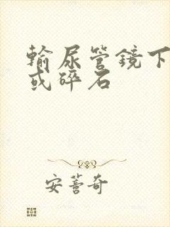 输尿管镜下取石或碎石