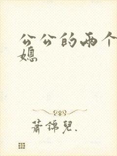 公公的两个好儿媳