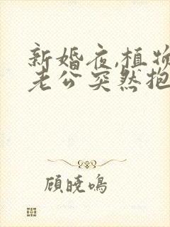 新婚夜,植物人老公突然抱起我