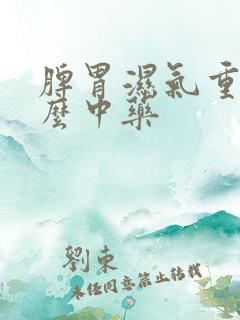 脾胃湿气重吃什么中药