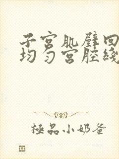 子宫肌壁回声不均匀宫腔线不清晰