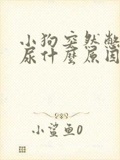 小狗突然憋不住尿什么原因