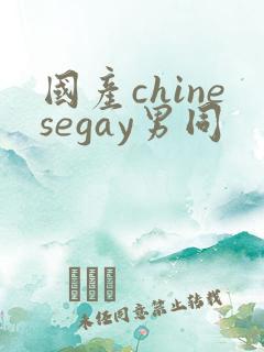 国产chinesegay男同