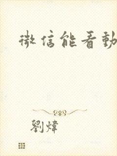 微信能看动图吗