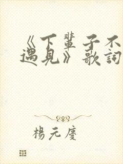 《下辈子不一定遇见》歌词