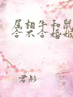 属相牛和鼠属相合不合婚姻