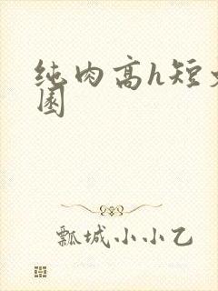 纯肉高h短文校园