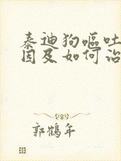 泰迪狗呕吐的原因及如何治疗方法