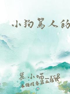 小狗骂人的声音