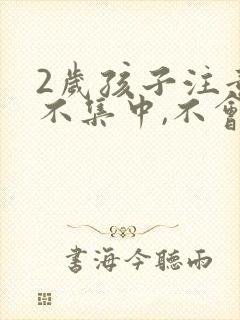 2岁孩子注意力不集中,不会说话