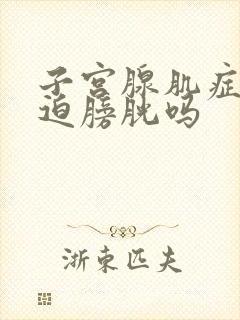 子宫腺肌症会压迫膀胱吗