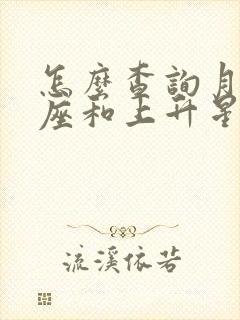 怎么查询月亮星座和上升星座