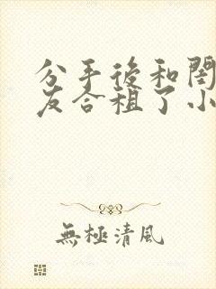 分手后和闺蜜男友合租了小说加点陈醋