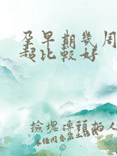 孕早期几周做b超比较好