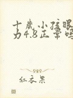 十岁小孩眼睛视力4.8正常吗