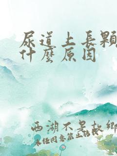 尿道上长颗粒是什么原因