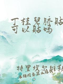 丁桂儿脐贴便秘可以贴吗