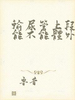 输尿管上段结石能不能体外碎石