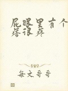 屁眼里有个硬疙瘩很疼