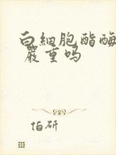 白细胞酯酶阳性 严重吗