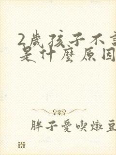 2岁孩子不说话是什么原因