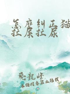 怎么纠正猫咪乱拉屎拉尿