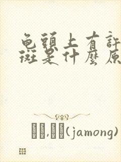 龟头上有许多红斑是什么原因