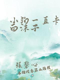 小狗一直卡痰吐白沫子