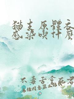 猫支原体衣原体感染吃什么药