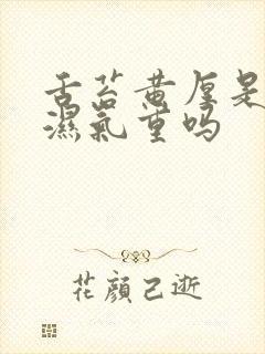 舌苔黄厚是体内湿气重吗