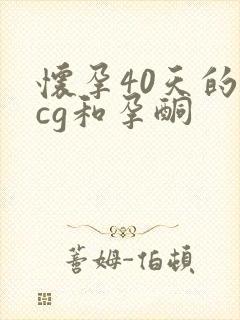 怀孕40天的hcg和孕酮