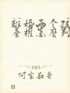 离婚两个孩子抚养权怎么判