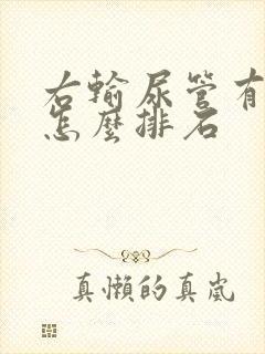 右输尿管有结石怎么排石