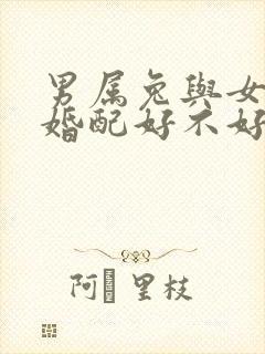 男属兔与女属马婚配好不好