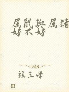 属鼠与属猪婚配好不好