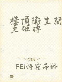 楼顶卫生间漏水免砸砖