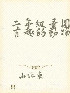 二年级看图写话有趣的动物