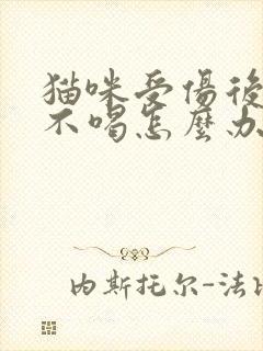 猫咪受伤后不吃不喝怎么办