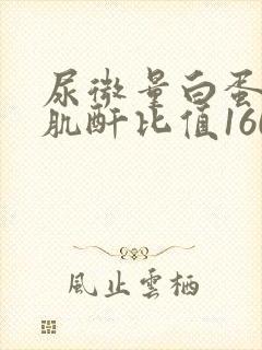 尿微量白蛋白尿肌酐比值160