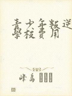 青少年叛逆封闭学校费用