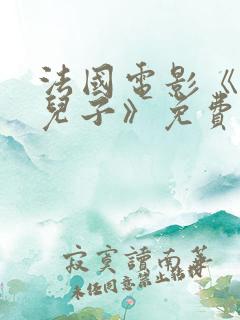 法国电影《爱上儿子》免费完整播放