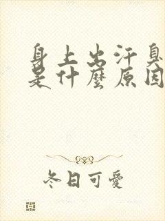 身上出汗臭味大是什么原因