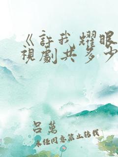 《许我耀眼》电视剧共多少集