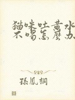 猫咪吐黄水不吃不喝怎么办