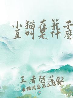 小猫在笼子里一直叫是什么原因