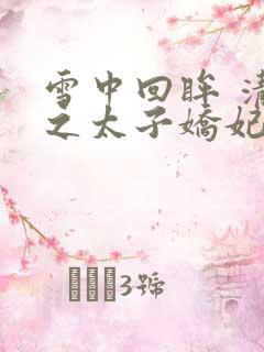 雪中回眸 清穿之太子娇妃