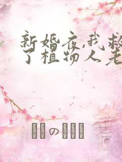 新婚夜,我救活了植物人老公丨