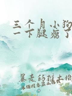 三个月小狗摔了一下腿瘸了咋办