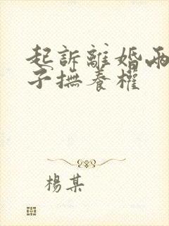 起诉离婚两个孩子抚养权