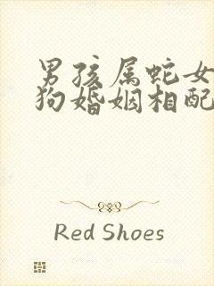 男孩属蛇女孩属狗婚姻相配吗